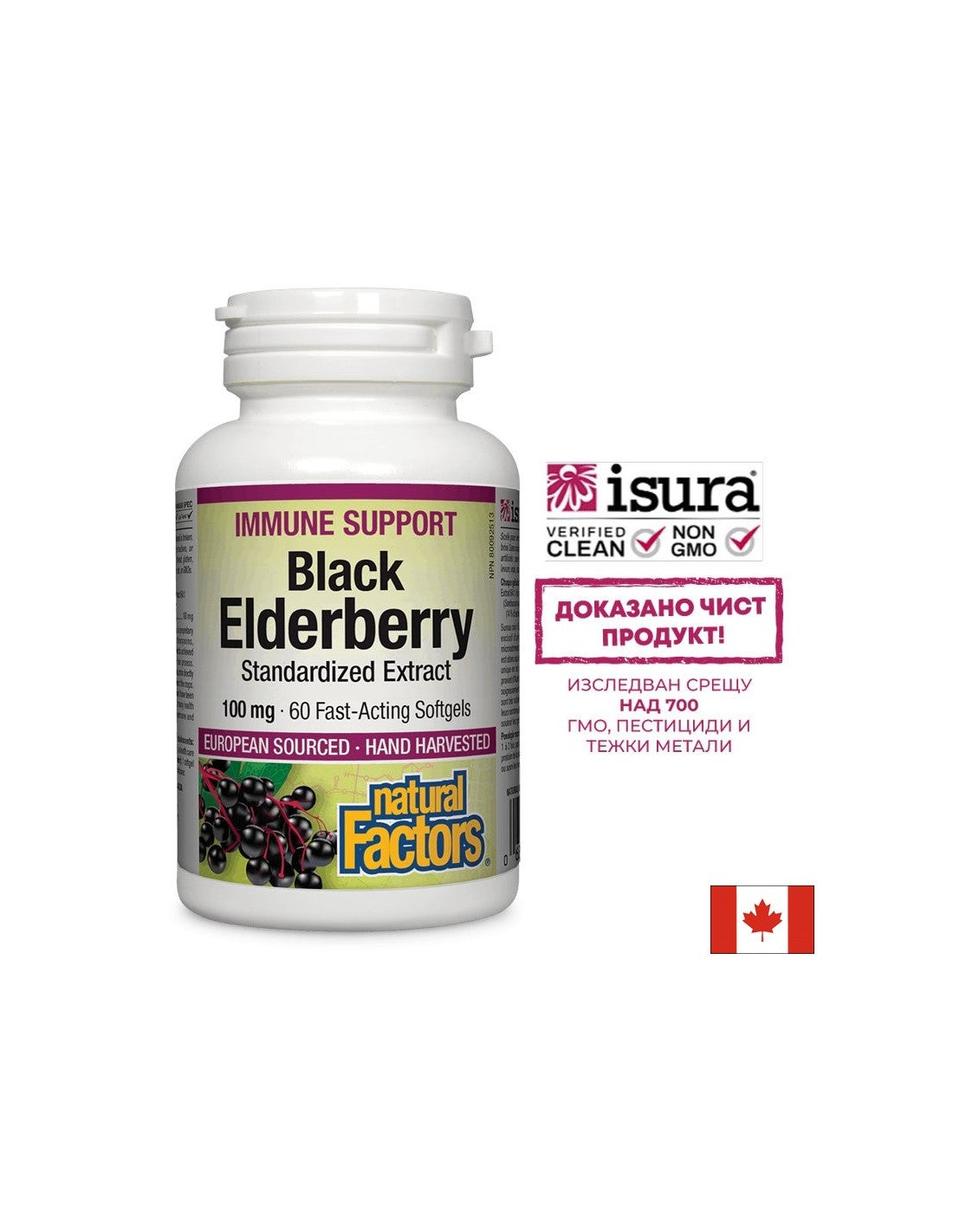 Black Elderberry Standardized Extract / Черен бъз / Стандартизиран екстракт / , 100mg, 60 бързоусвоими софтгел капсули