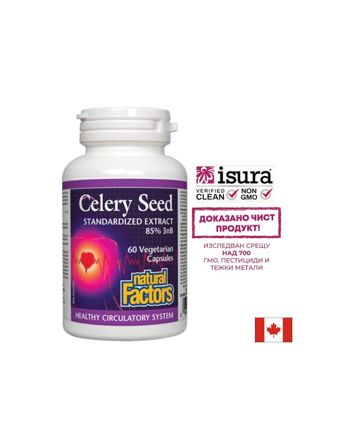 Подагра и високо кръвно налягане - Целина (семена) – Celery Seed 75mg, 60 капсули