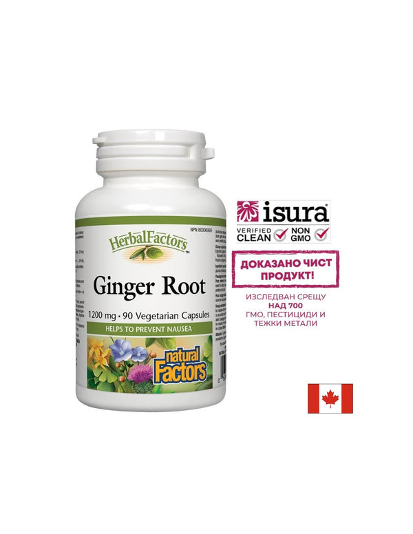 Ginger Root / Джинджифил (корен) 450mg 90 капсули