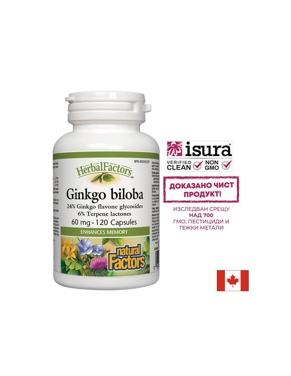 Ginkgo Biloba / Гинко Билоба 60mg 120 капсули