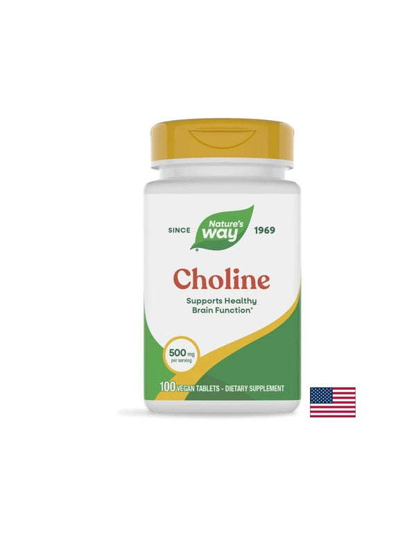 Choline / Холин 500mg 100 таблетки