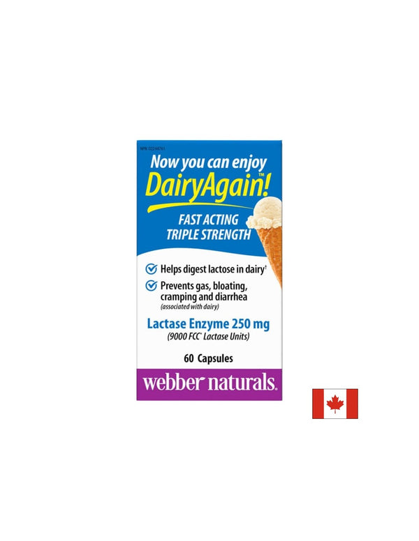 Lactase Enzyme - Лактаза ензим, 60 капсули